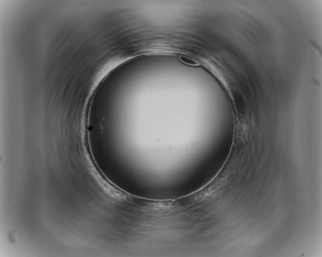 X0000097291195200802151408