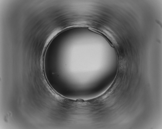 X0000097291196200802151408