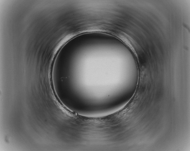 X0000097291197200802151408
