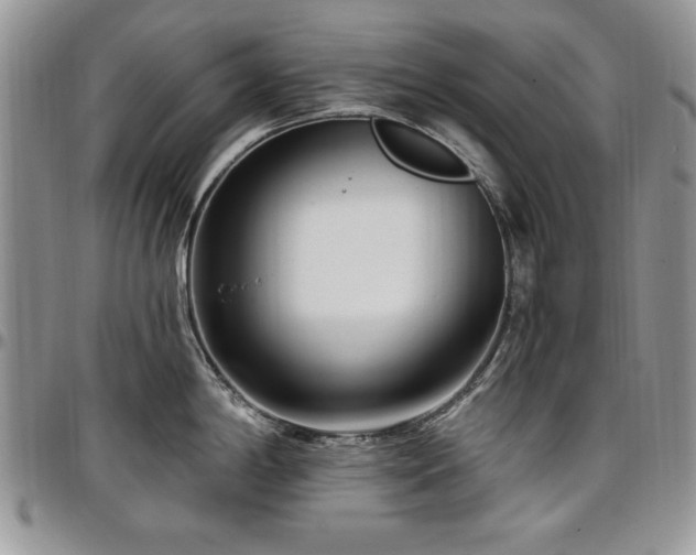 X0000097291198200802151407