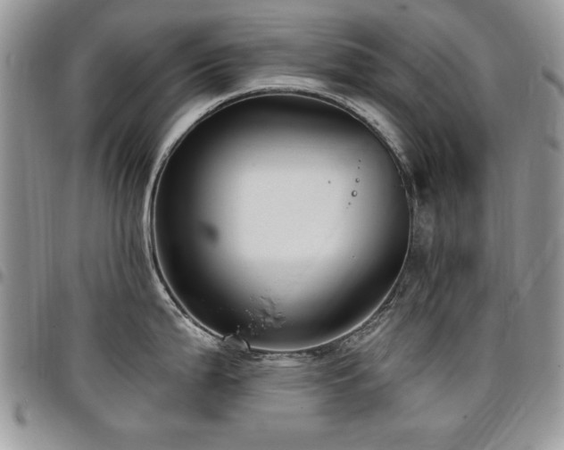 X0000097291199200802151407