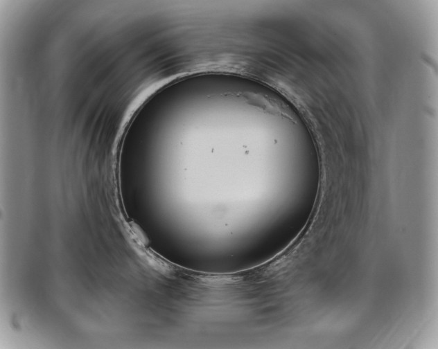 X0000097291200200802151407