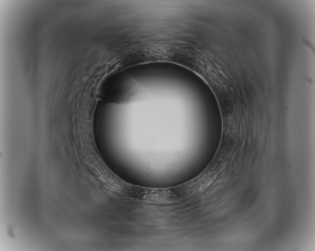 X0000097291201200802151407