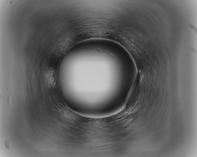 X0000097291202200802151407