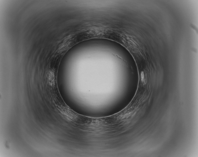 X0000097291203200802151407
