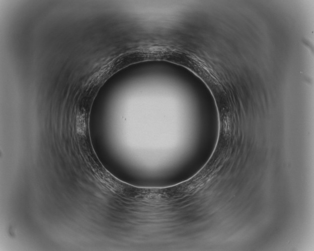 X0000097291204200802151407