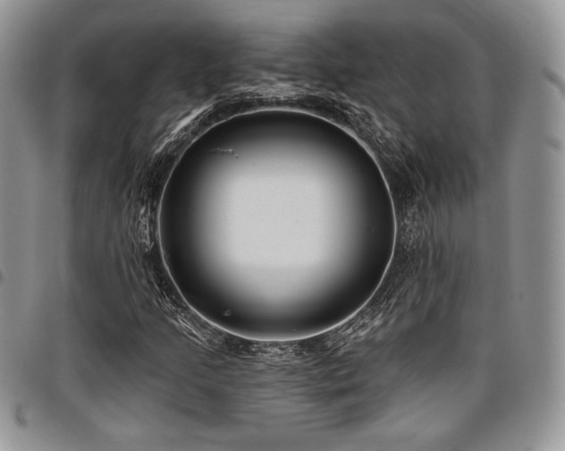 X0000097291205200802151407