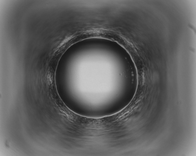 X0000097291206200802151407