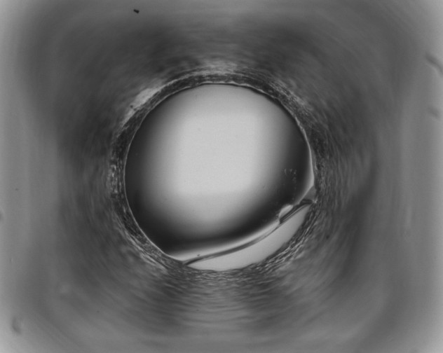 X0000097291208200802151407