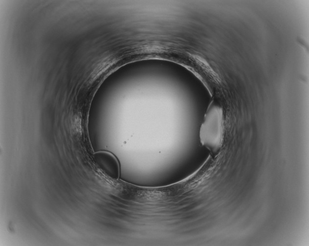 X0000097291209200802151407