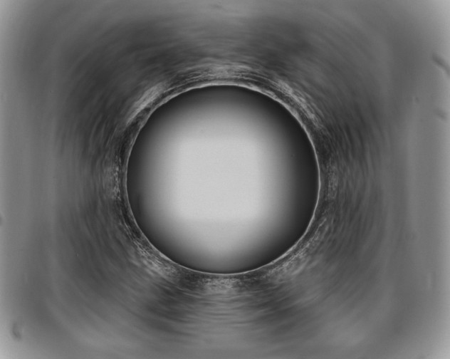 X0000097291211200802151407