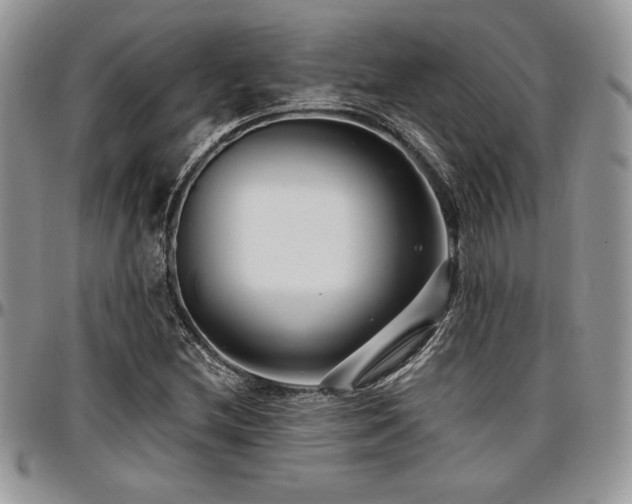 X0000097291212200802151407