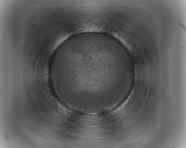 X0000097291213200802151407