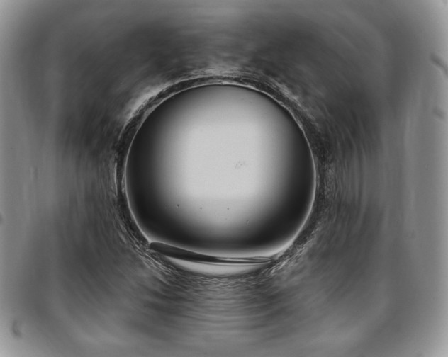 X0000097291214200802151407