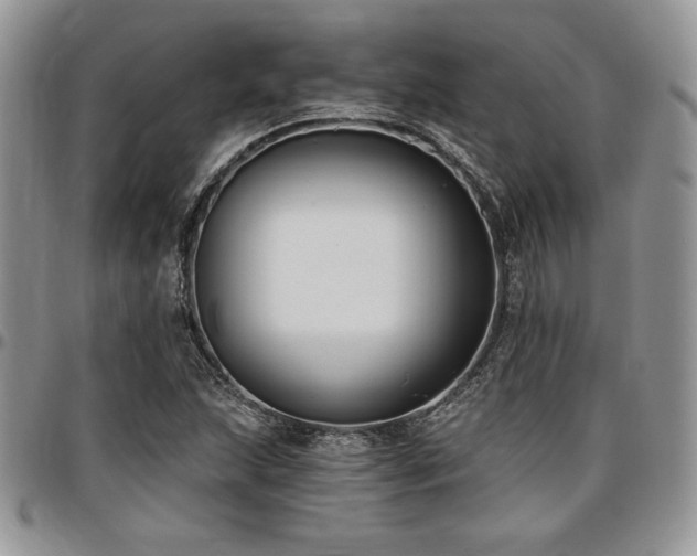 X0000097291215200802151407
