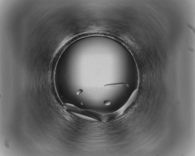 X0000097291216200802151407