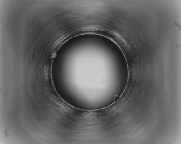 X0000097291217200802151407