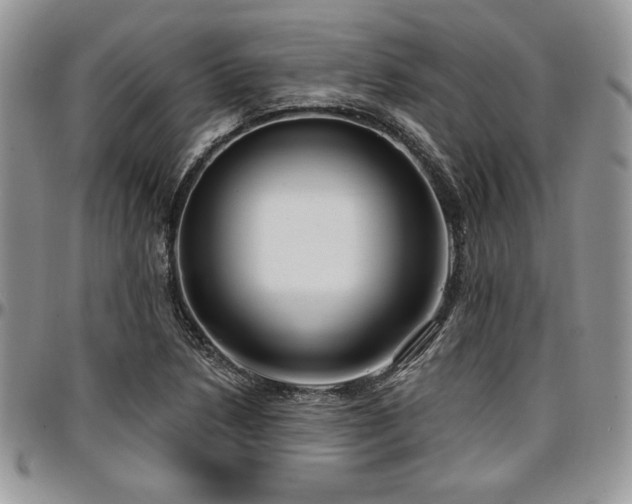 X0000097291218200802151407