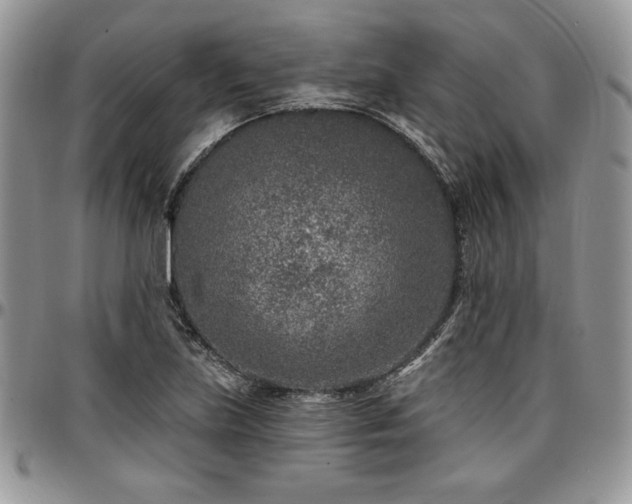 X0000097291219200802151407