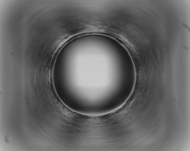 X0000097291220200802151407