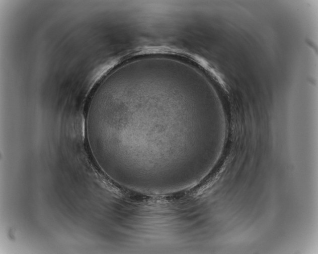 X0000097291221200802151407