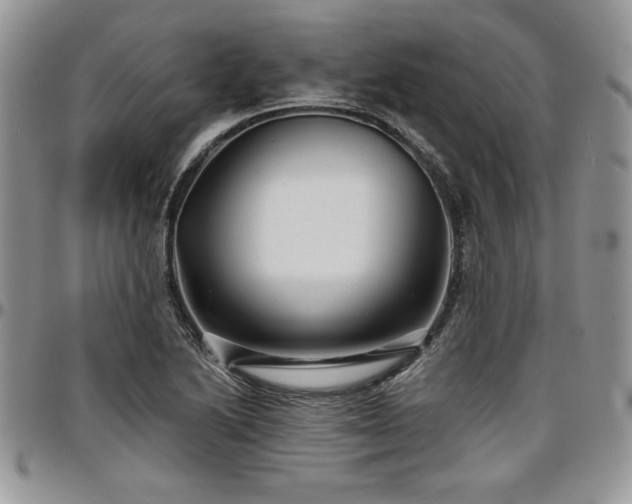 X0000097291222200802151407