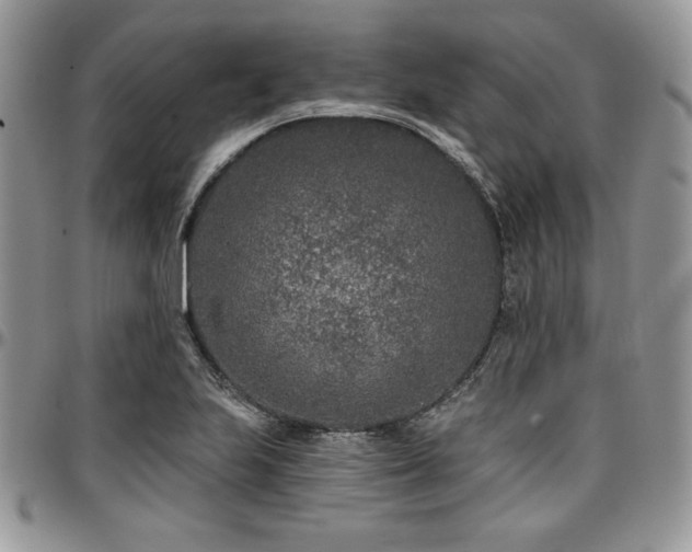 X0000097291223200802151407