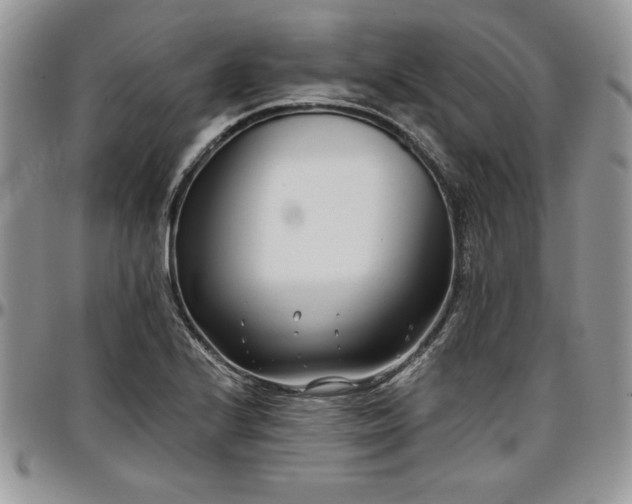 X0000097291224200802151407