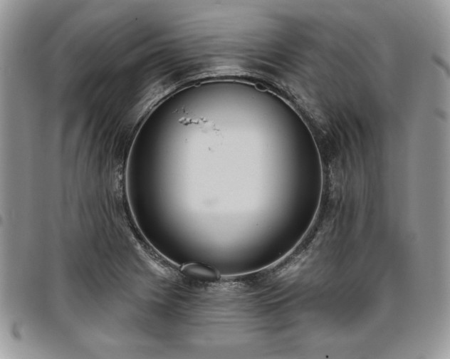X0000097291225200802151407