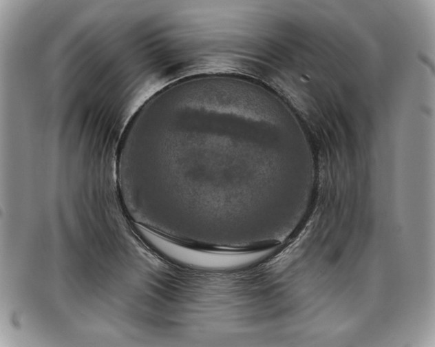 X0000097291226200802151407