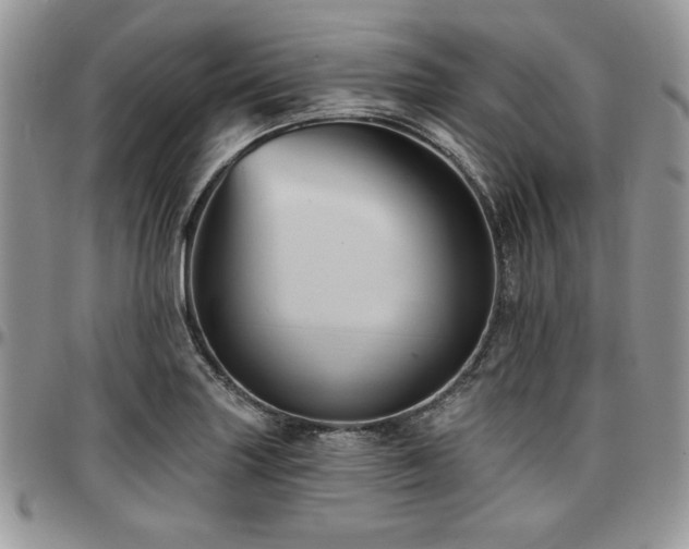 X0000097291227200802151407