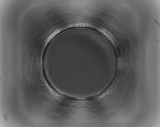 X0000097291229200802151407