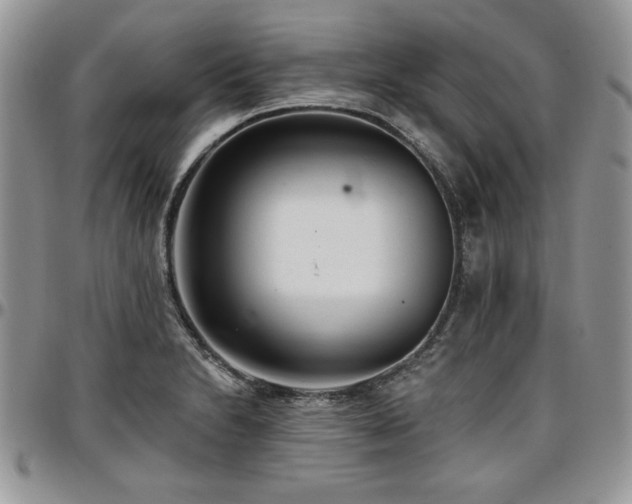 X0000097291230200802151407