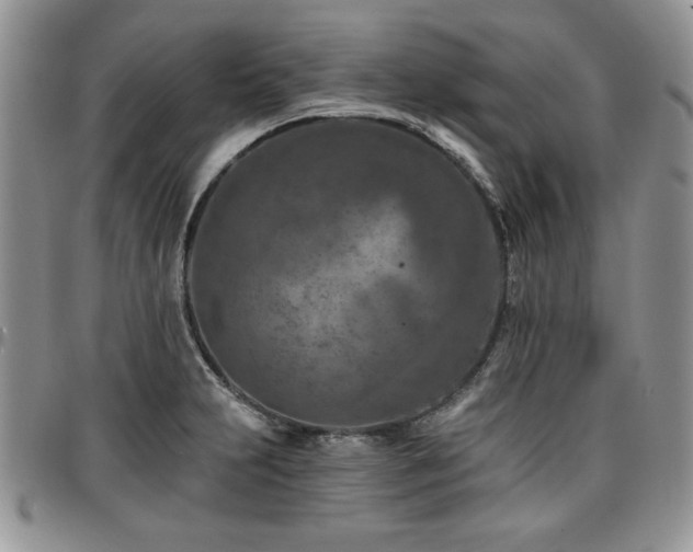 X0000097291231200802151407