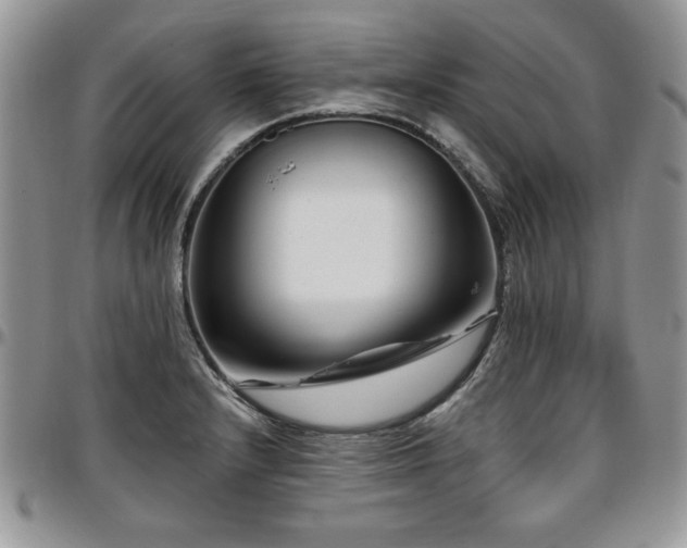 X0000097291232200802151407