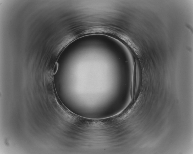 X0000097291233200802151407