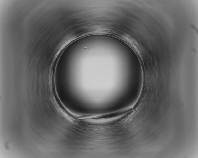 X0000097291235200802151407