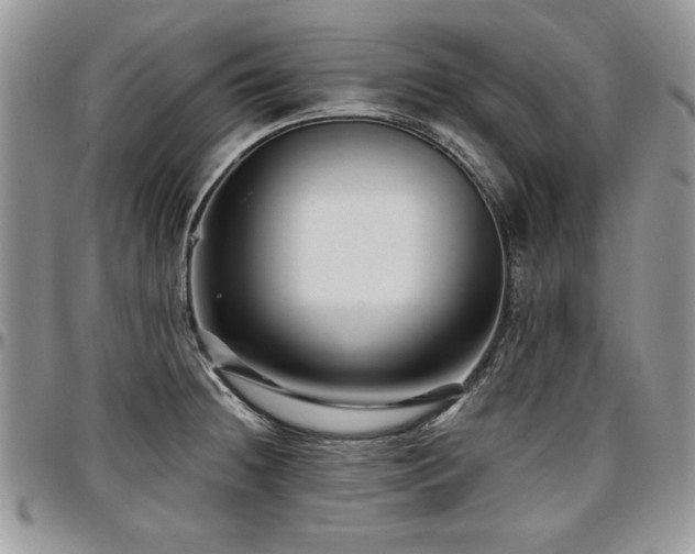 X0000097291236200802151407