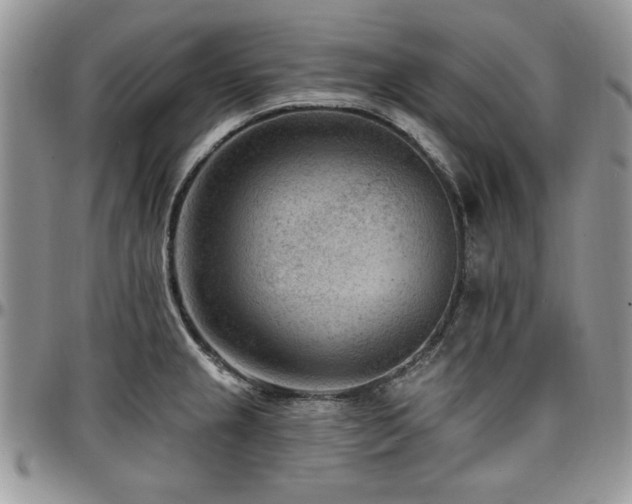 X0000097291237200802151407