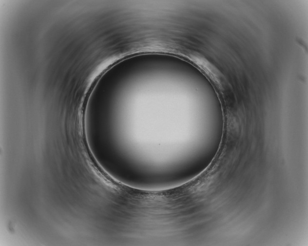 X0000097291238200802151407
