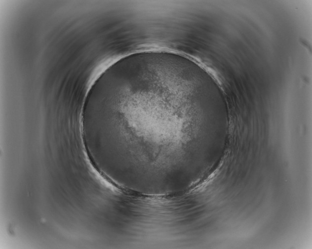 X0000097291239200802151407