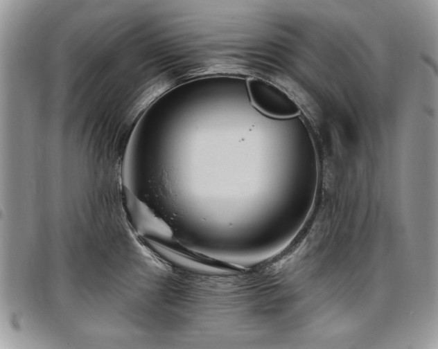 X0000097291241200802151407