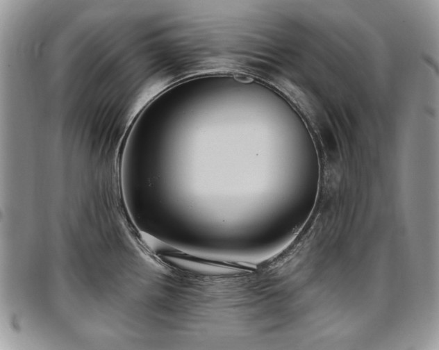 X0000097291242200802151407