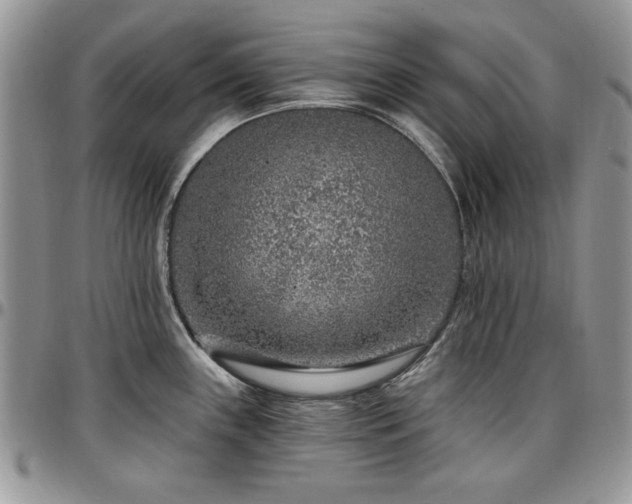X0000097291243200802151407