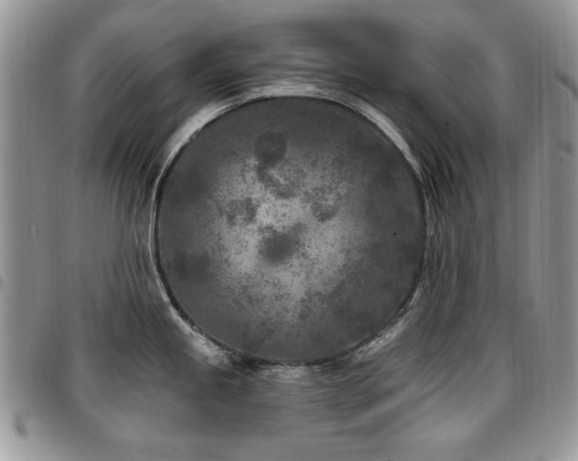 X0000097291245200802151407