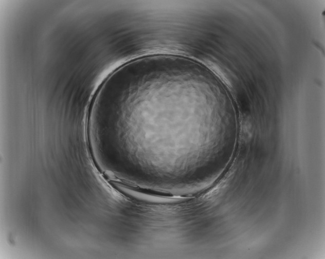 X0000097291246200802151407