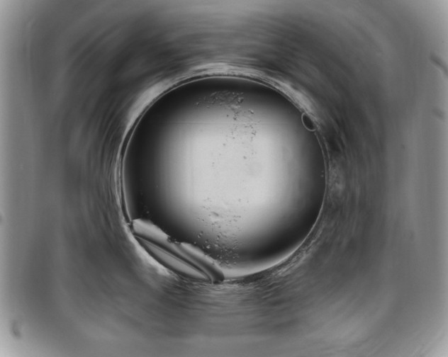 X0000097291247200802151407