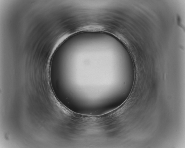 X0000097291248200802151407