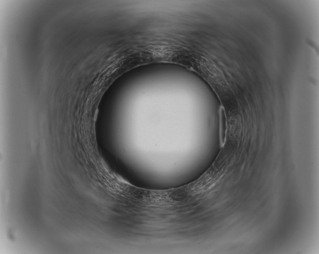X0000097291249200802151407