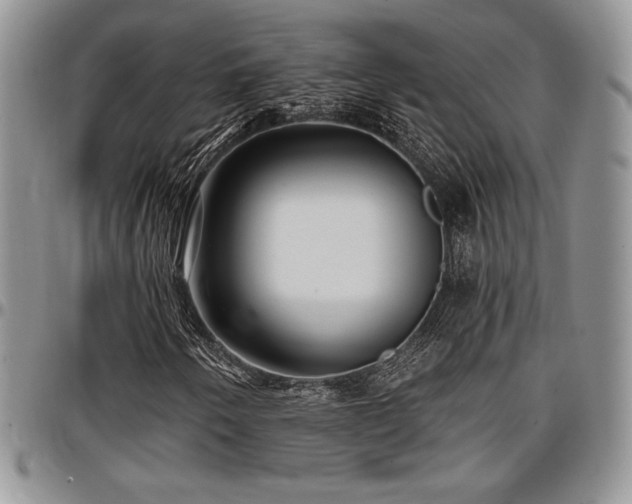 X0000097291250200802151407